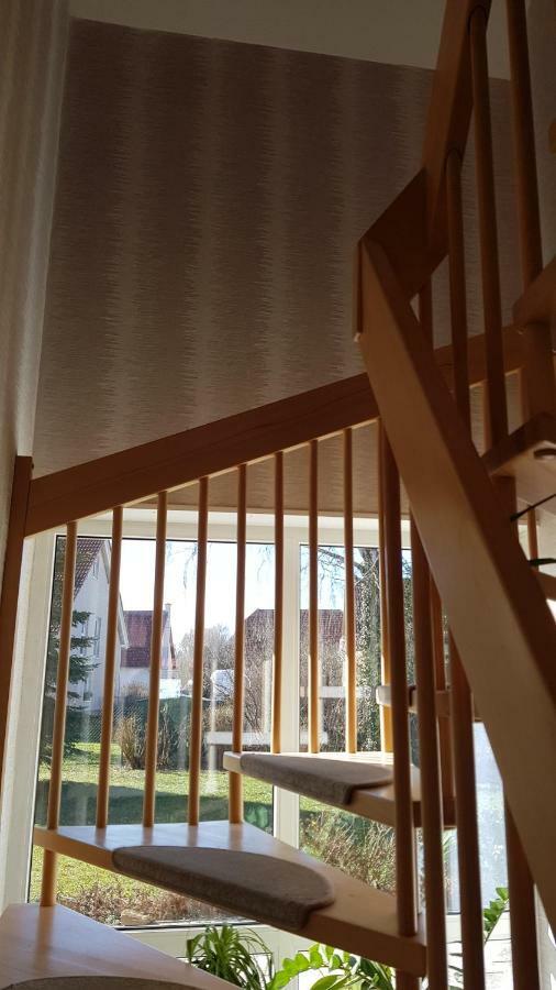 Ferienhaus Bogsi Müllrose Екстериор снимка